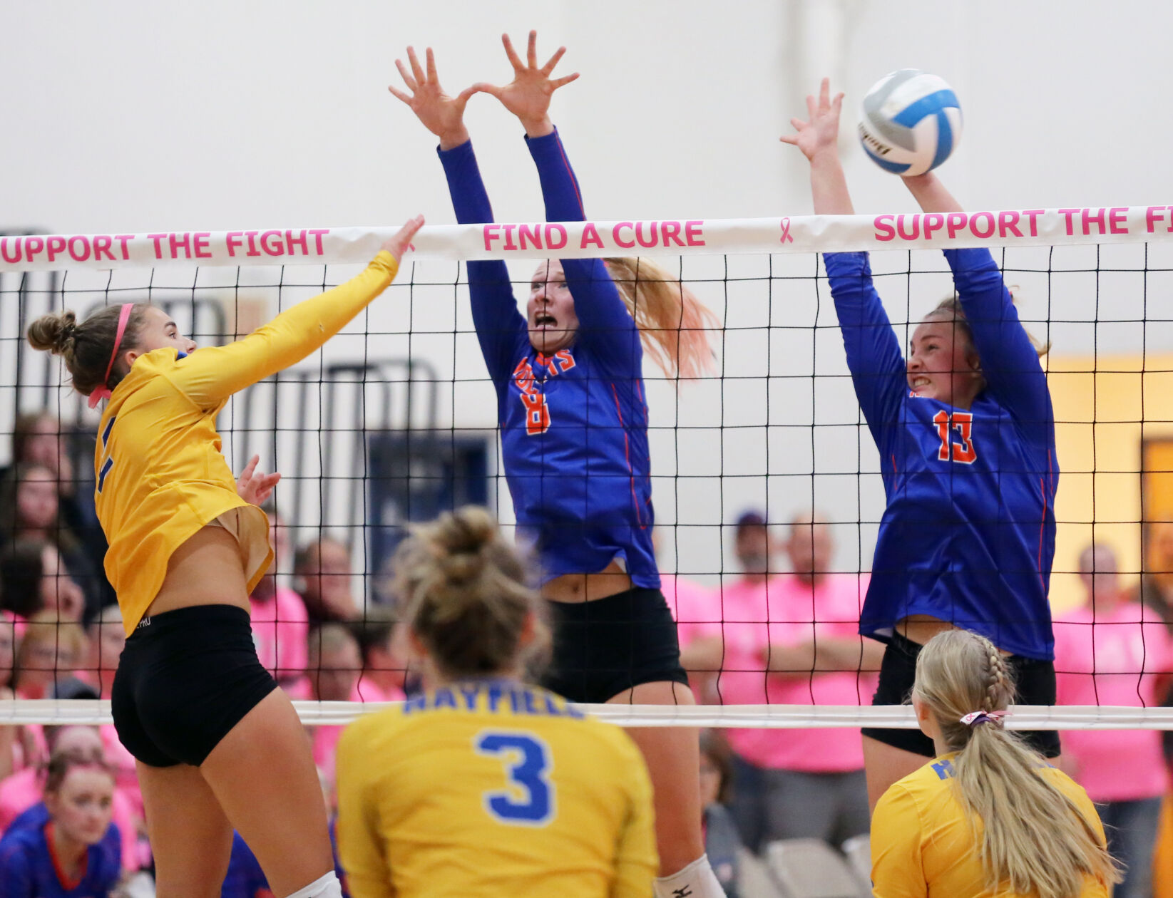 Randolph Dig Pink 2.JPG